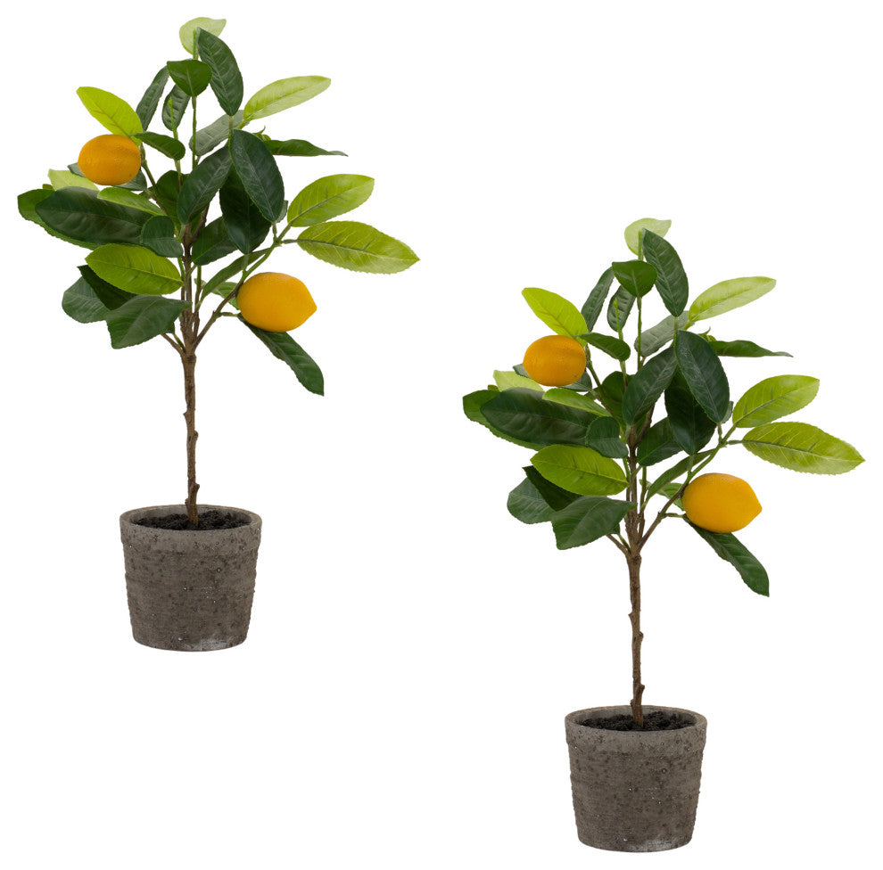 Potted Lemon Tree, 2-Piece Set