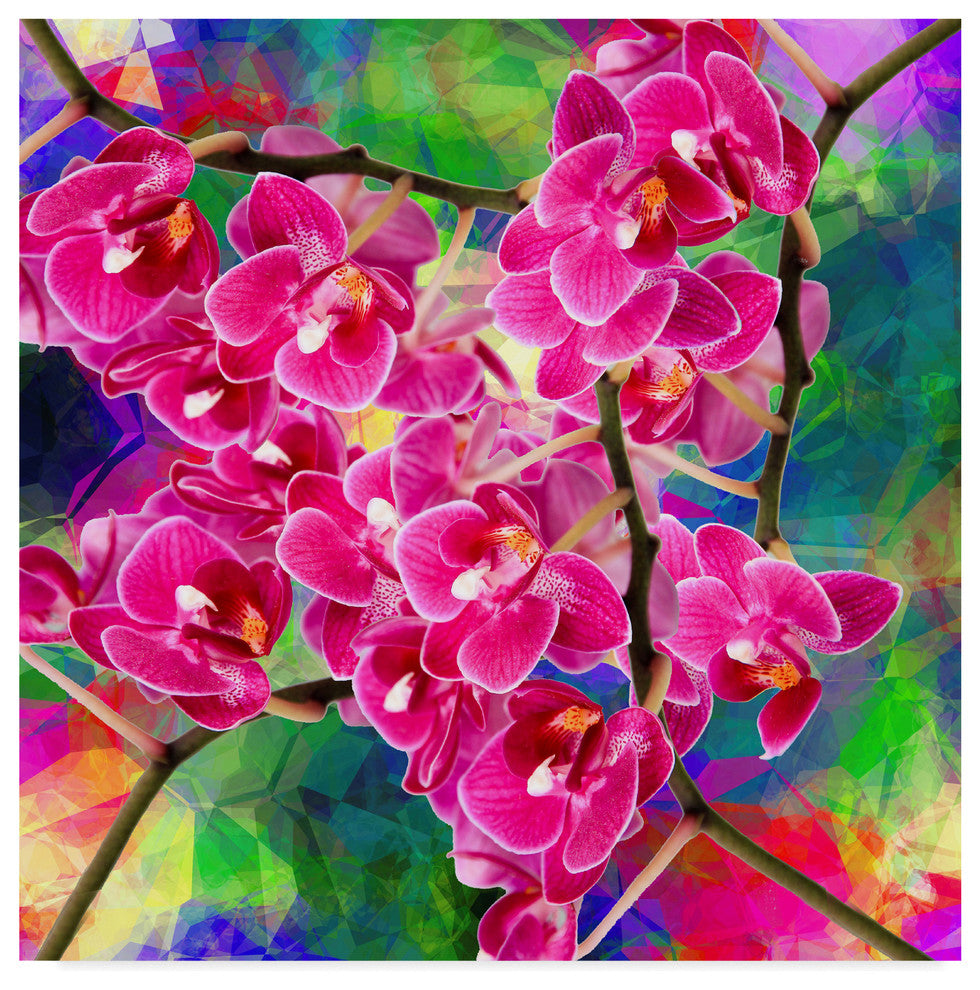 "Flower Spring 2" by Ata Alishahi, Canvas Art, 24"x24"