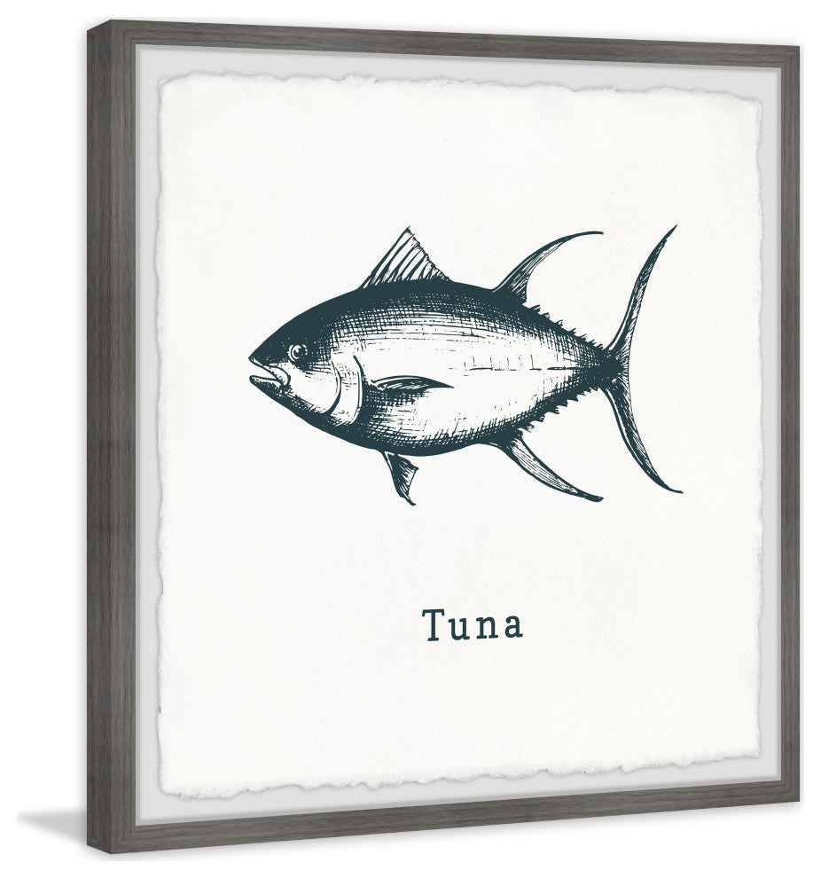 "Tuna in White" Framed Painting Print, 24x24