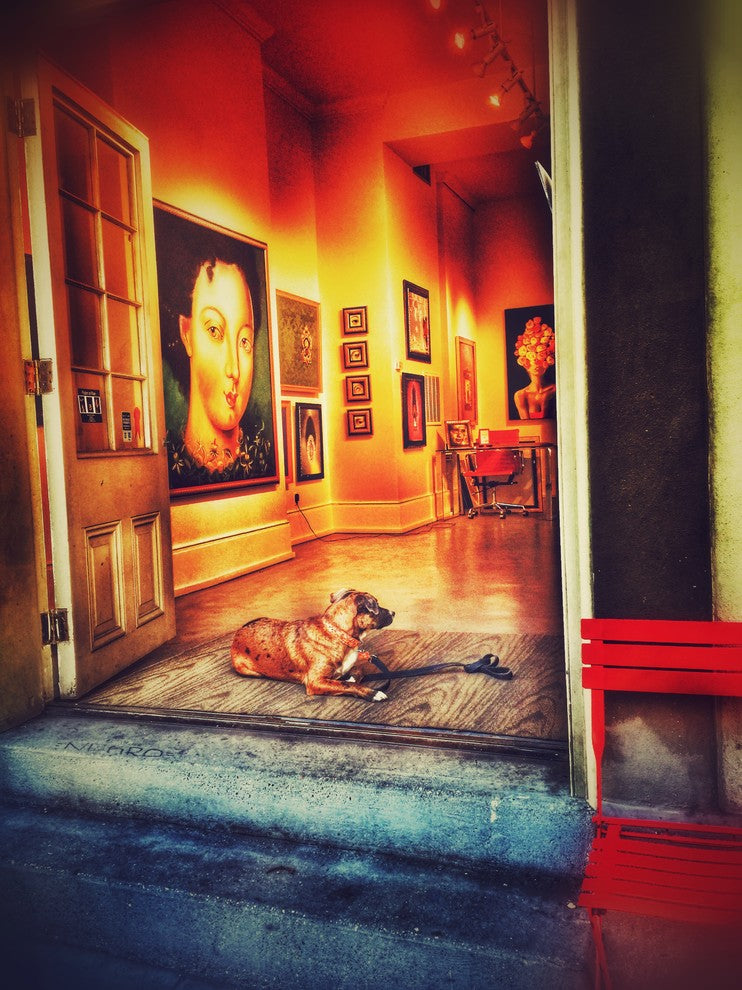 New Orleans "Art Watching Dog" Stretched Canvas Giclee, 18"x24"