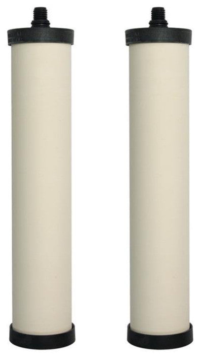 Franke Chlorine Filtration Cartridge for TriFlow - Set of 2 in Stainless Steel