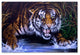 Jenny Newland 'Surprise' Canvas Art, 24x16