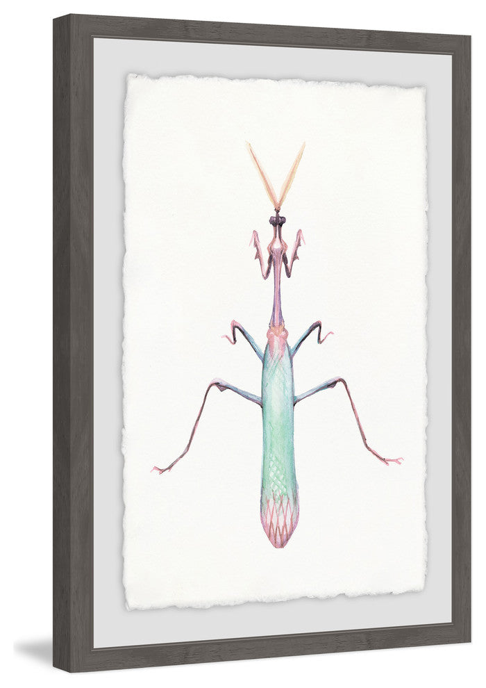 "Pastel Mantis" Framed Painting Print, 12"x18"