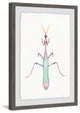 "Pastel Mantis" Framed Painting Print, 12"x18"