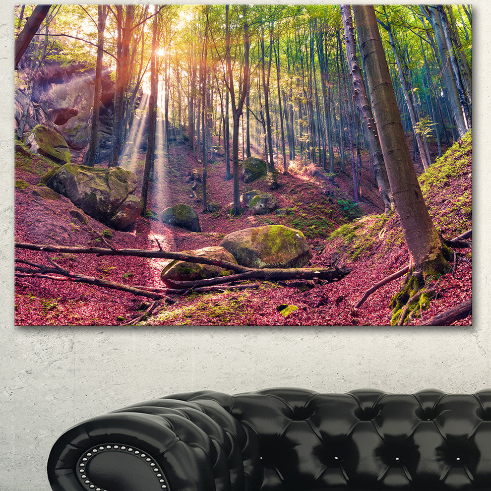 Autumn Morning in Mystical Woods, Large Landscape Canvas Art Print, 60"x28"