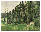 'The Poplars, 1879' Canvas Art by Paul Cezanne