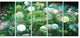 Green Fractal Molecule Pattern, Abstract Wall Art Canvas, 60"x28", 5 Panels