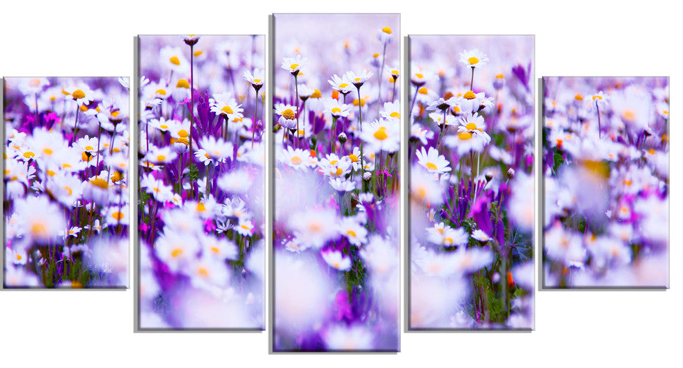 Daisy Field Photography Panorama, Large Floral Canvas Print, 60"x32", 5 Panels