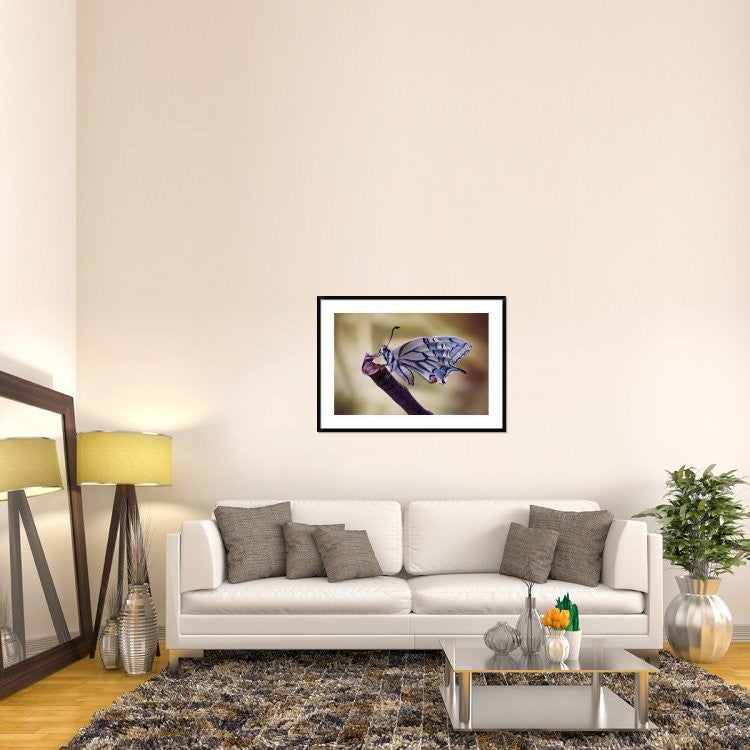 "Basking" Framed Digital Print by Jimmy Hoffman, 44x32"