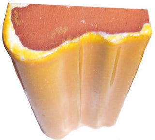 5 pcs Yellow Chair Rail Molding 4