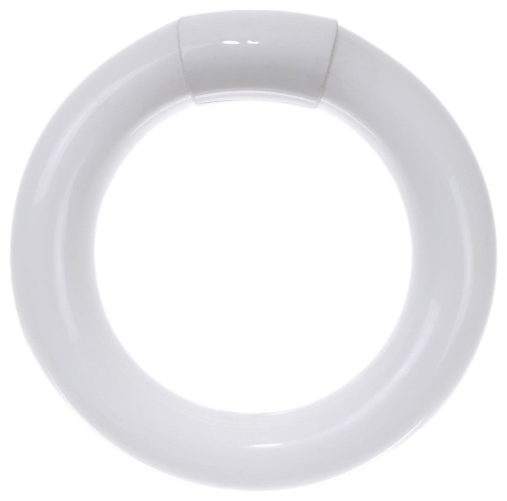 Sunlite 20 Watt T9 Circline, 4-Pin Base, Cool White