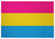 Pansexual Chenille Rug, Pansexual, 5'x7'