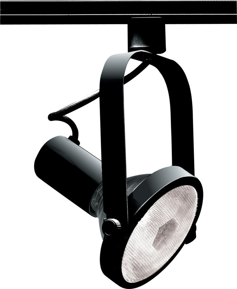 1 Light PAR30 Track Head Gimbal Ring