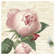 "Roses in Paris V" Digital Paper Print by Katie Pertiet, 32"x32"