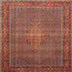 Ahgly Company Indoor Square Traditional Area Rugs, 8' Square