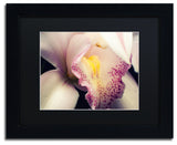 PIPA Fine Art 'Close-Up of Orchid' Matted Framed Art, 14x11