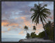 Coconut Palm Trees, Pamilacan Island, Bohol Island, Philippines, 16"x12"