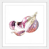 "Garlic Clove" Framed Print by Rachel Byler