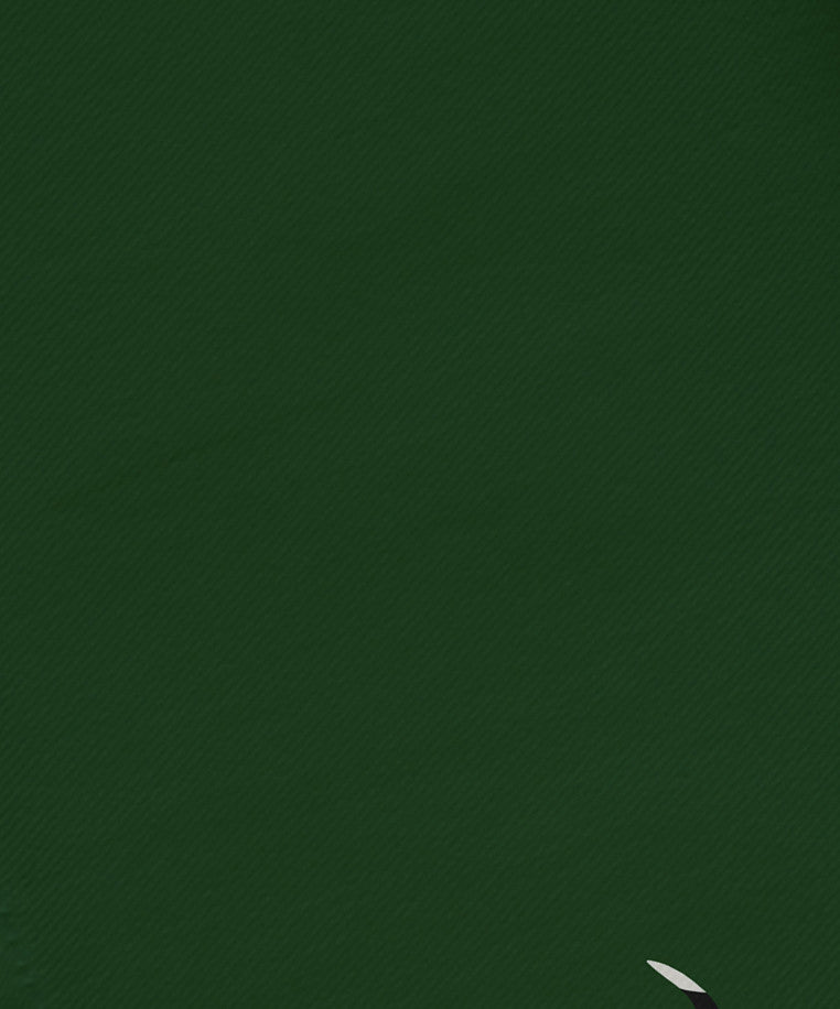 Warmest Wishes, Holiday Animal Print Napkin, Dark Green, Set of 4