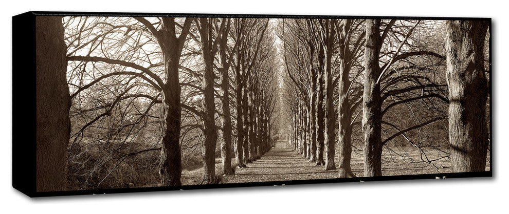 Alan Blaustein 'Hampton Gates Promenade I' Canvas Art, 32x10