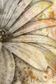 "Softly in the Wind, Six" Canvas, 20"x30"