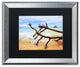 Jason Shaffer 'Hawaii 2' Matted Framed Art, Silver Frame, Black Mat, 20x16