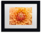 Cora Niele ''Orange Dahlia'' Matted Framed Art