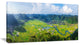 "Rice Field Valley Vietnam Panorama" Landscape Wall Art, 1 Panel, 60"x28"