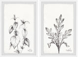 Nettle and Eucola Diptych, 2-Piece Set, 24x36 Panels
