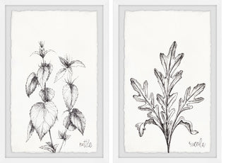 Nettle and Eucola Diptych, 2-Piece Set, 24x36 Panels