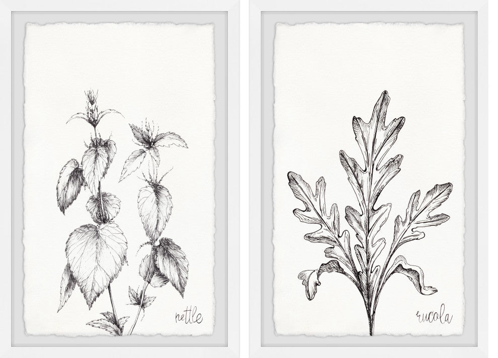 Nettle and Eucola Diptych, 2-Piece Set, 24x36 Panels