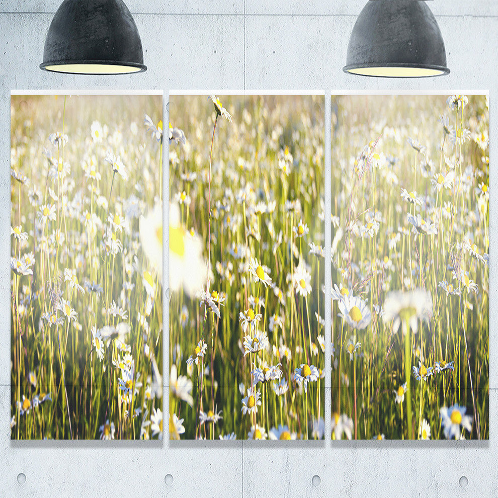 "Wild Chamomile Flowers Field" Metal Wall Art, 3 Panels, 36"x28"