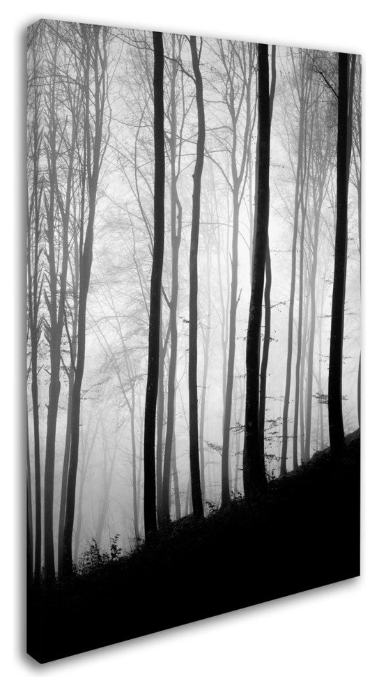 'Black Lines' Canvas Art by Philippe Sainte-Laudy