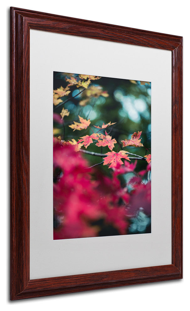 Jason Shaffer ''Maple'' Matted Framed Art, Wood Frame, White Mat, 16x20