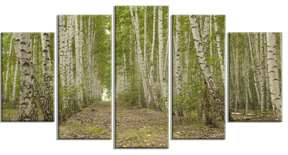 Dense Birch Grove in Summer Day, Forest Canvas Art Print, 60"x32", 5 Panels