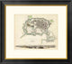 "Toulon, France, 1840"  by Society for the Diffusion of Useful Knowledge, 26x23"