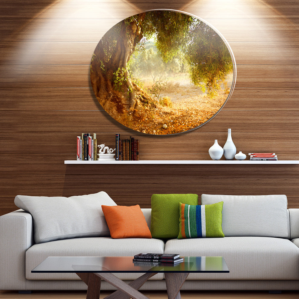Beautiful Old Olive Tree, Landscape Art Large Disc Metal Wall Art, 23"