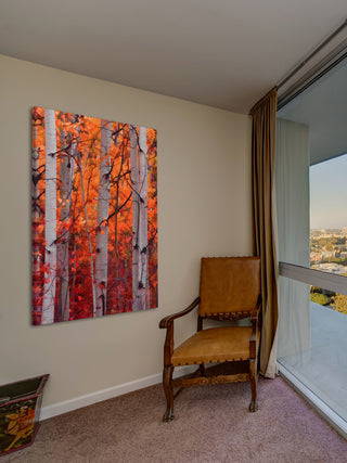 "Autumn Splendor" Painting Print on Canvas
