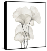 "Ginkgo Biloba Leaves" Floater Framed Painting Print, Canvas, 48"x48"