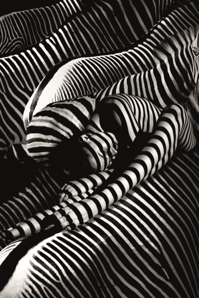 Contemporary Photographic Artwork | Andrew Martin Riding A Zebra, Xtra Large