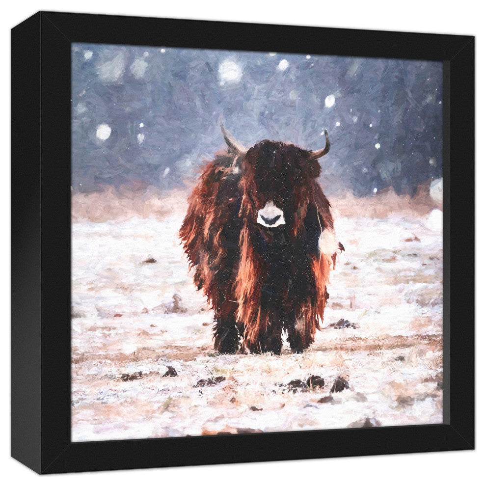 Snowy Yak 12x12 Black Framed Canvas