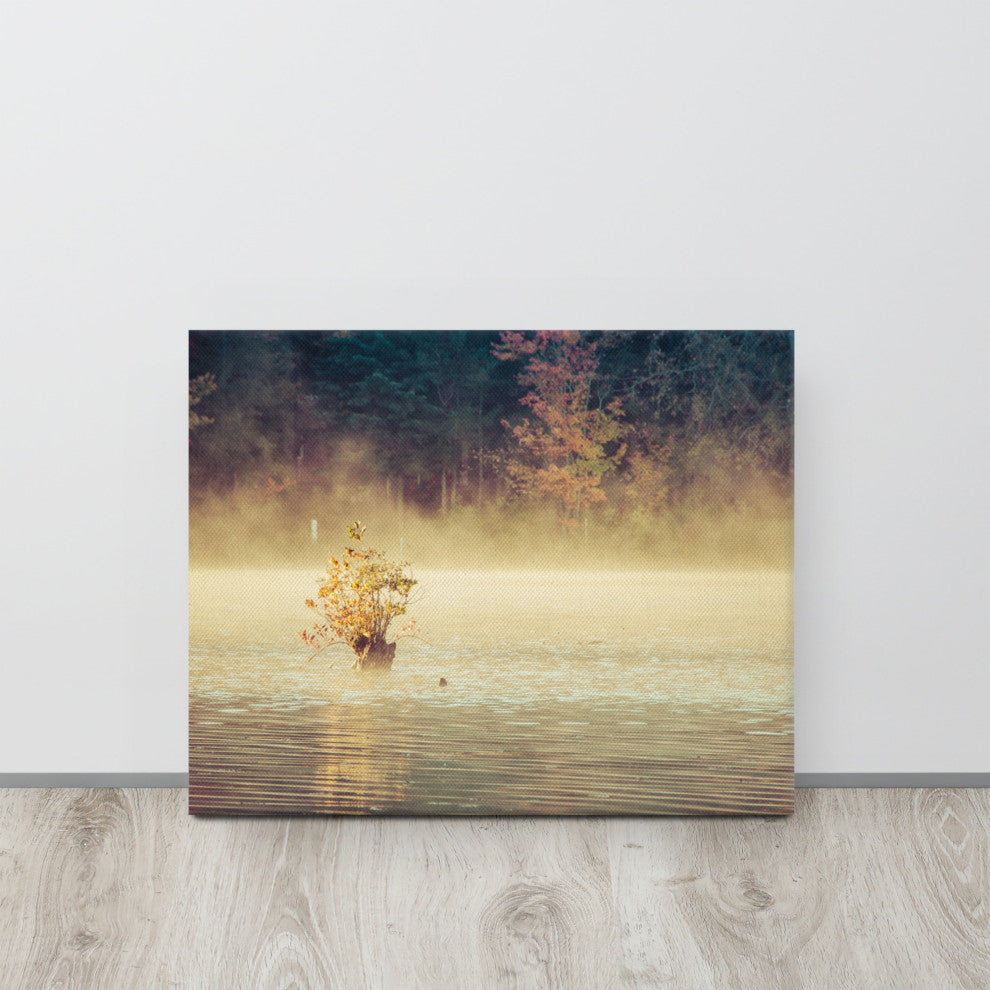 Golden Mist on Waples Pond Rural Landscape Photo Canvas Wall Art Print, 16" X 20"
