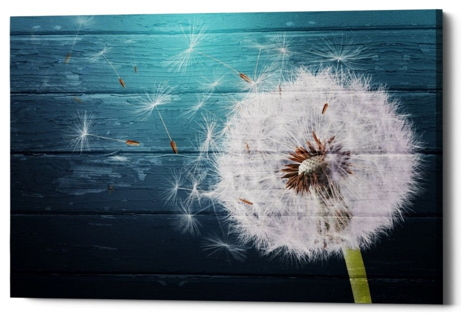 Epic Graffiti "Wood Series: Dandi Blue" Giclee Canvas Wall Art, 18"x26"