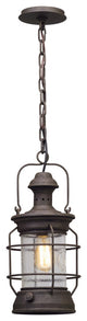 Troy Lighting Atkins One Light Hanging Lantern F5057