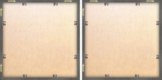 Decorated Cactus Pots Diptych, Set of 2, 32x32 Panels