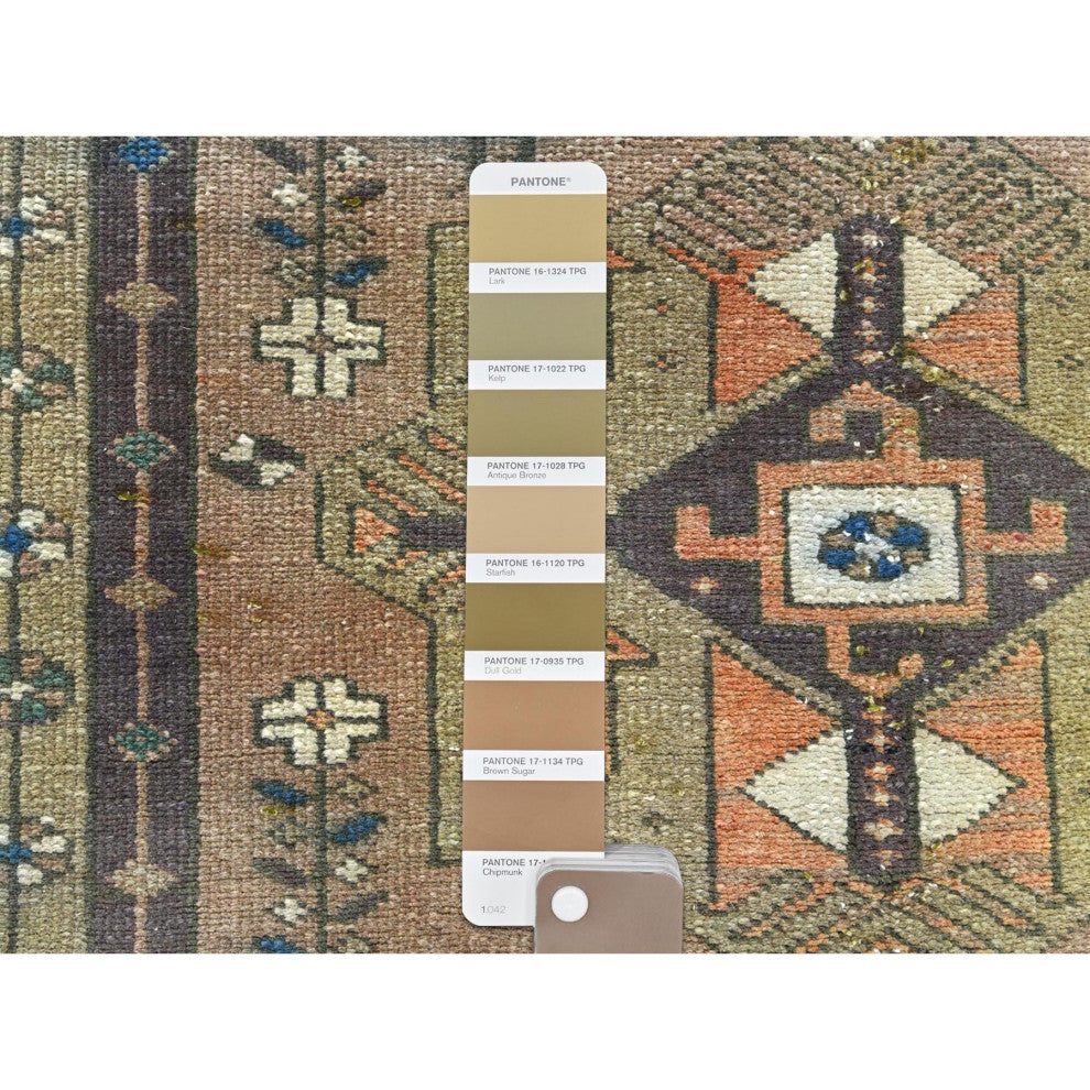 Walnut Brown Northwest Persian Wide Runner Bird Figurines Wool Rug, 3'4"x10'3"