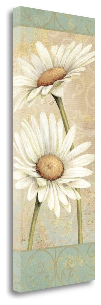 "Beautiful Daisies II" By Daphne Brissonnet, Giclee Print on Gallery Wrap Canvas