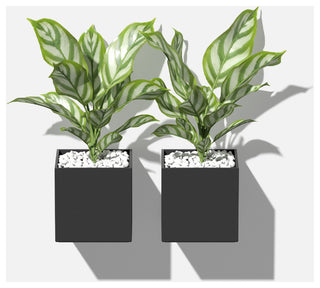 Veadek Geo Series Hanging 5" Planter, Black, 5", 2 Pack