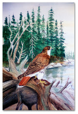 Arie Reinhardt Taylor 'Red Tailed Hawk' Canvas Art, 32x22