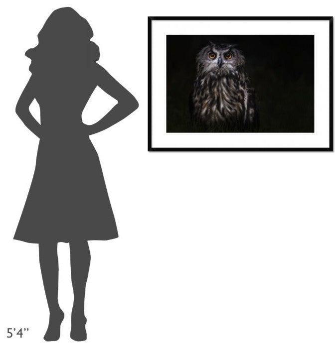 "Prince Of The Night" Framed Digital Print by Martine Benezech, 38"x28"